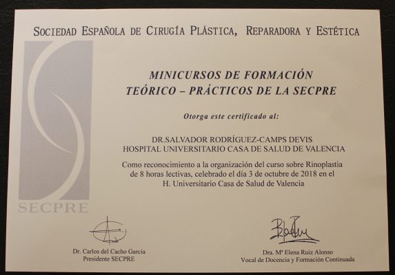 IV Curso de Rinoplastia para Cirujanos Plásticos