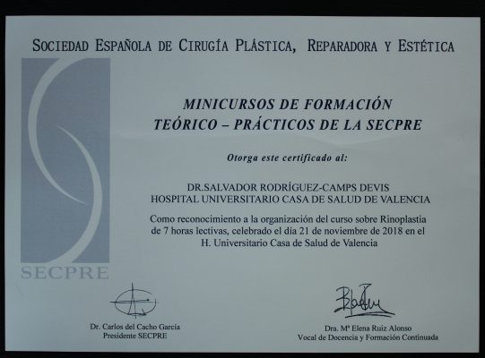 V Curso de Rinoplastia para Cirujanos Plásticos